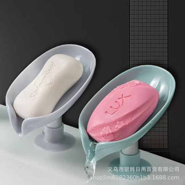 Soap Holder Plastic